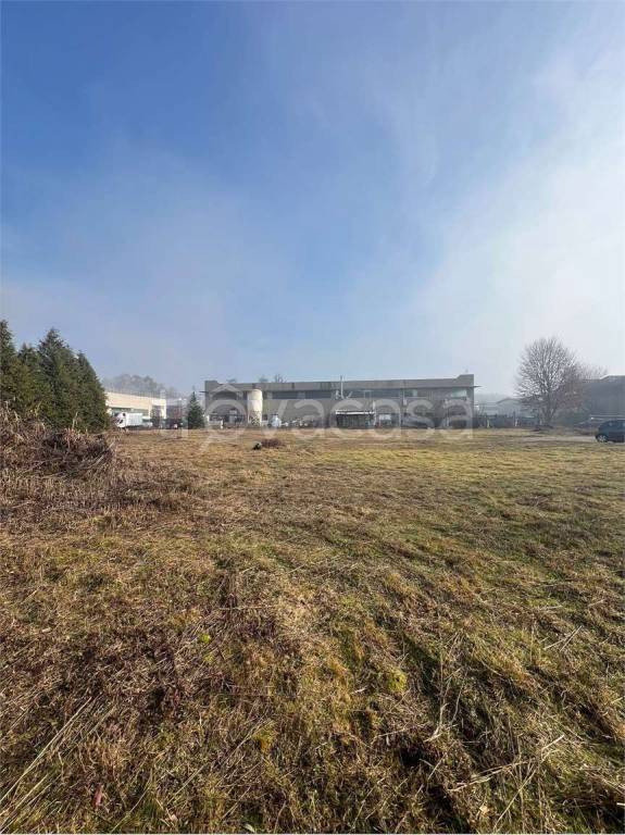 immagine annuncio 5 di 11