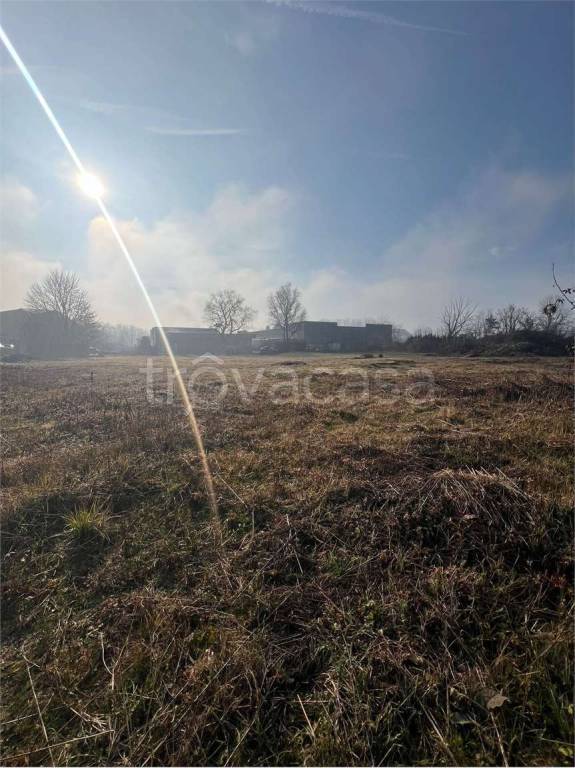 immagine annuncio 6 di 11