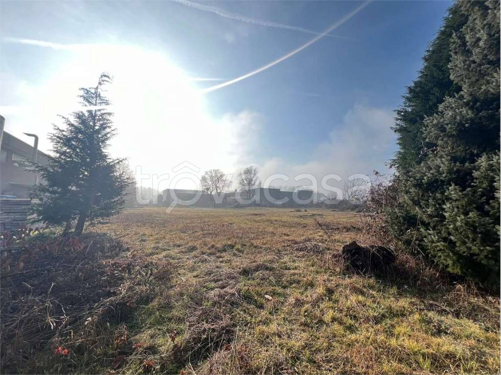 immagine annuncio 8 di 11