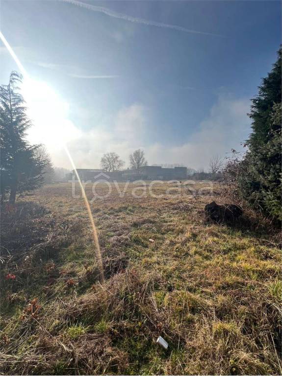 immagine annuncio 9 di 11