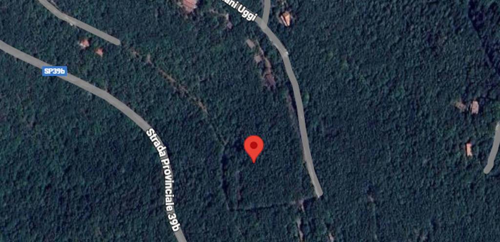 immagine annuncio 11 di 15