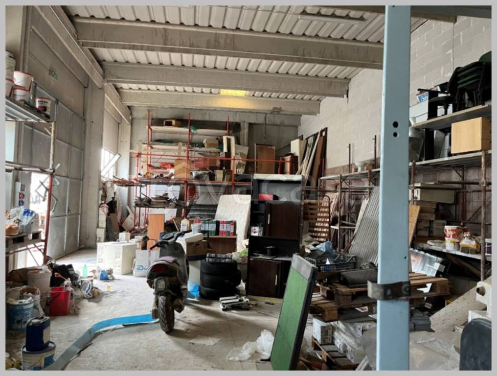 immagine annuncio 12 di 15