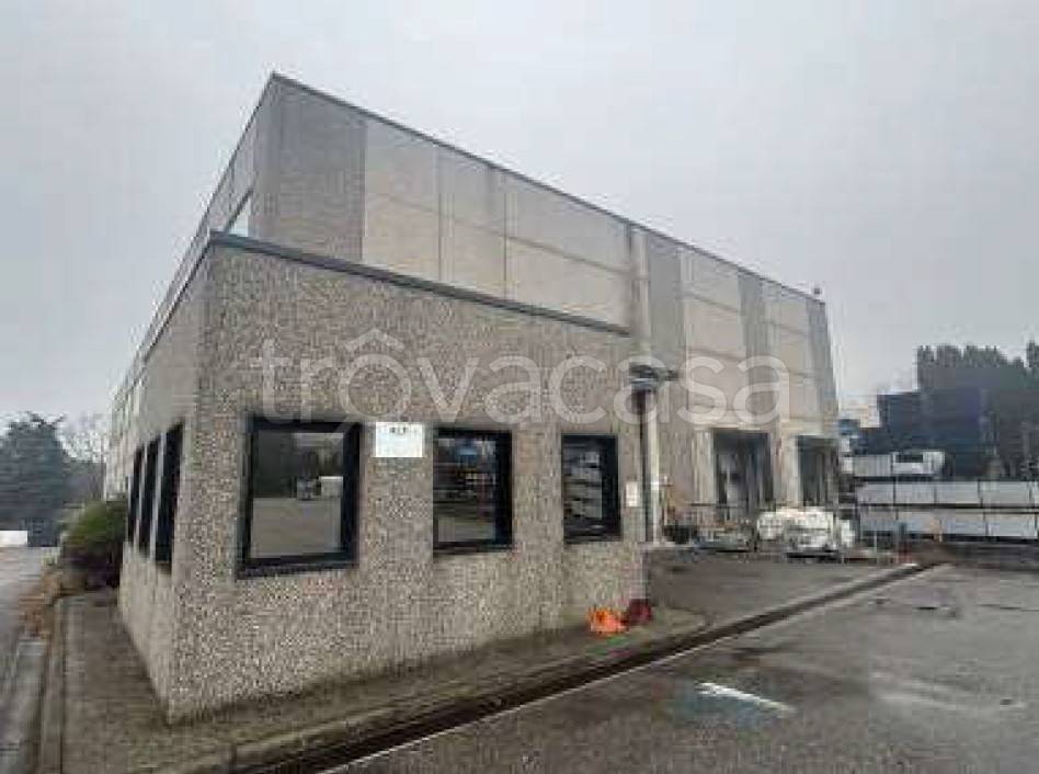 immagine annuncio 1 di 9