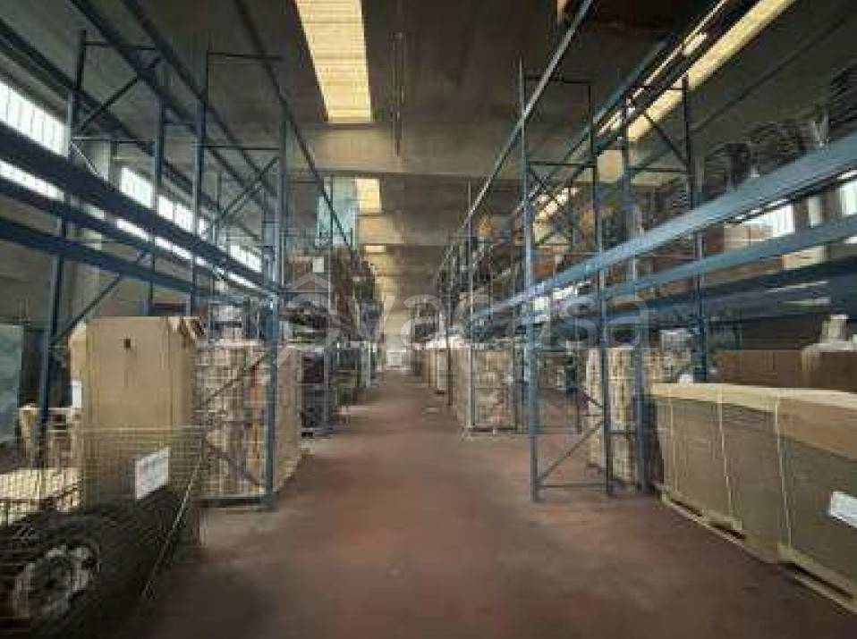 immagine annuncio 5 di 9