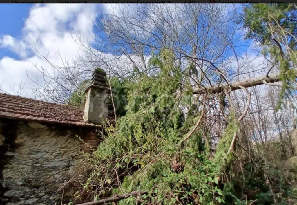 immagine annuncio 4 di 13