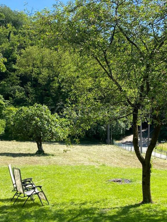 immagine annuncio 12 di 14