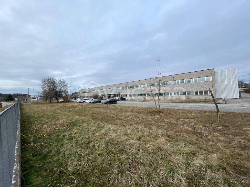 immagine annuncio 1 di 4