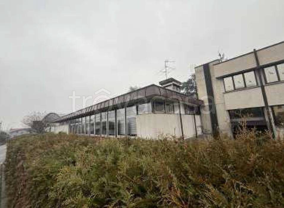 immagine annuncio 4 di 9