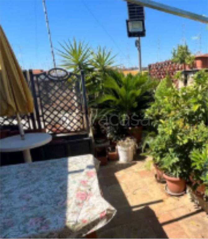 immagine annuncio 8 di 14