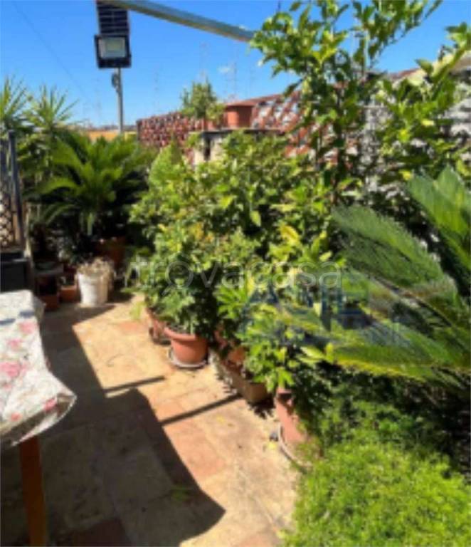 immagine annuncio 9 di 14