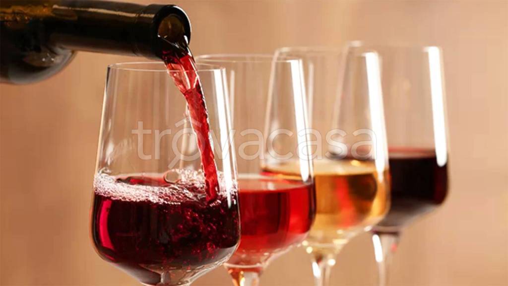 immagine annuncio 12 di 15