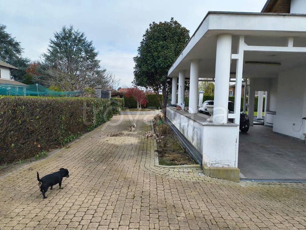 immagine annuncio 14 di 15