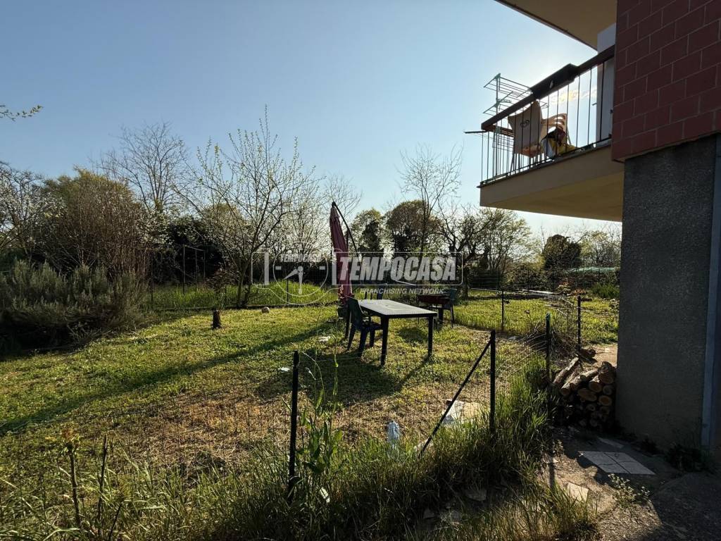 immagine annuncio 3 di 12