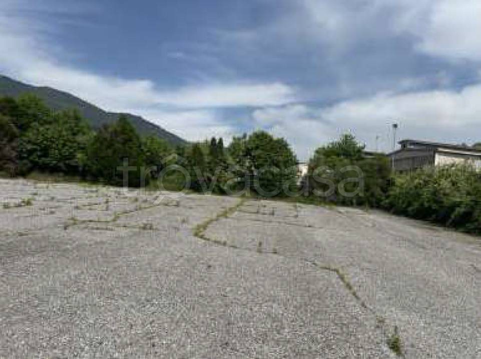 immagine annuncio 1 di 2