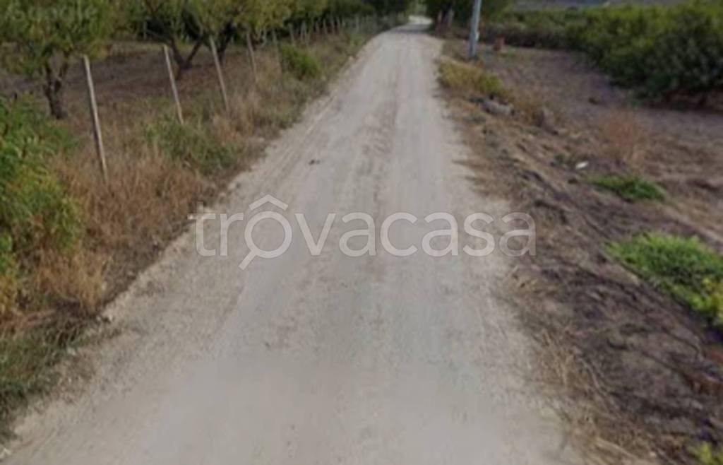 immagine annuncio 10 di 13