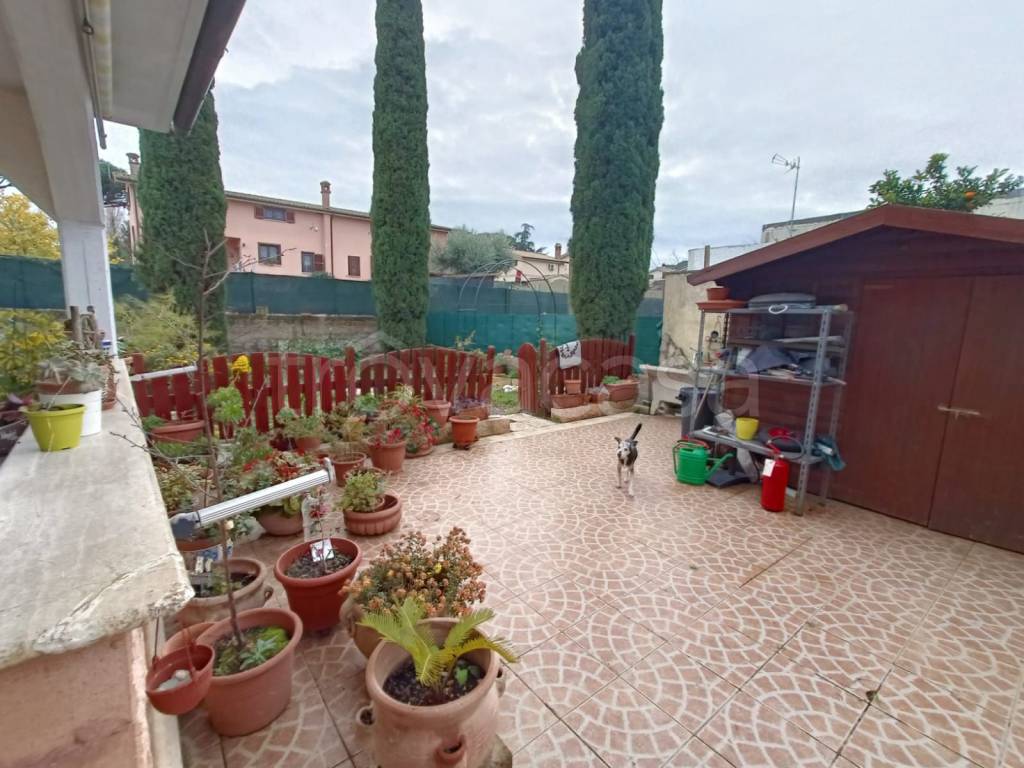 immagine annuncio 6 di 15