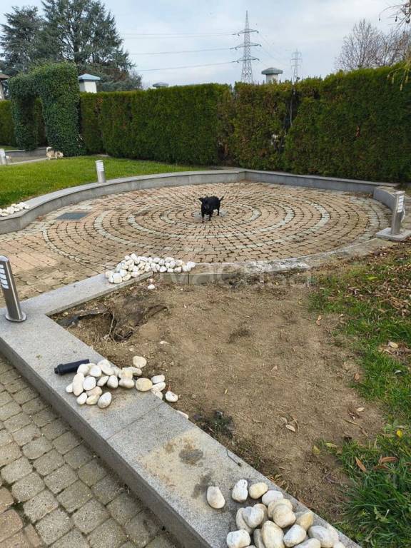 immagine annuncio 6 di 15