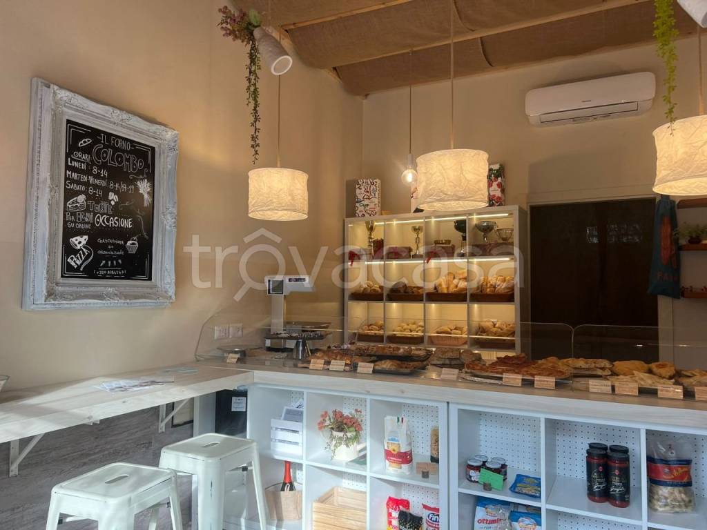 immagine annuncio 4 di 14