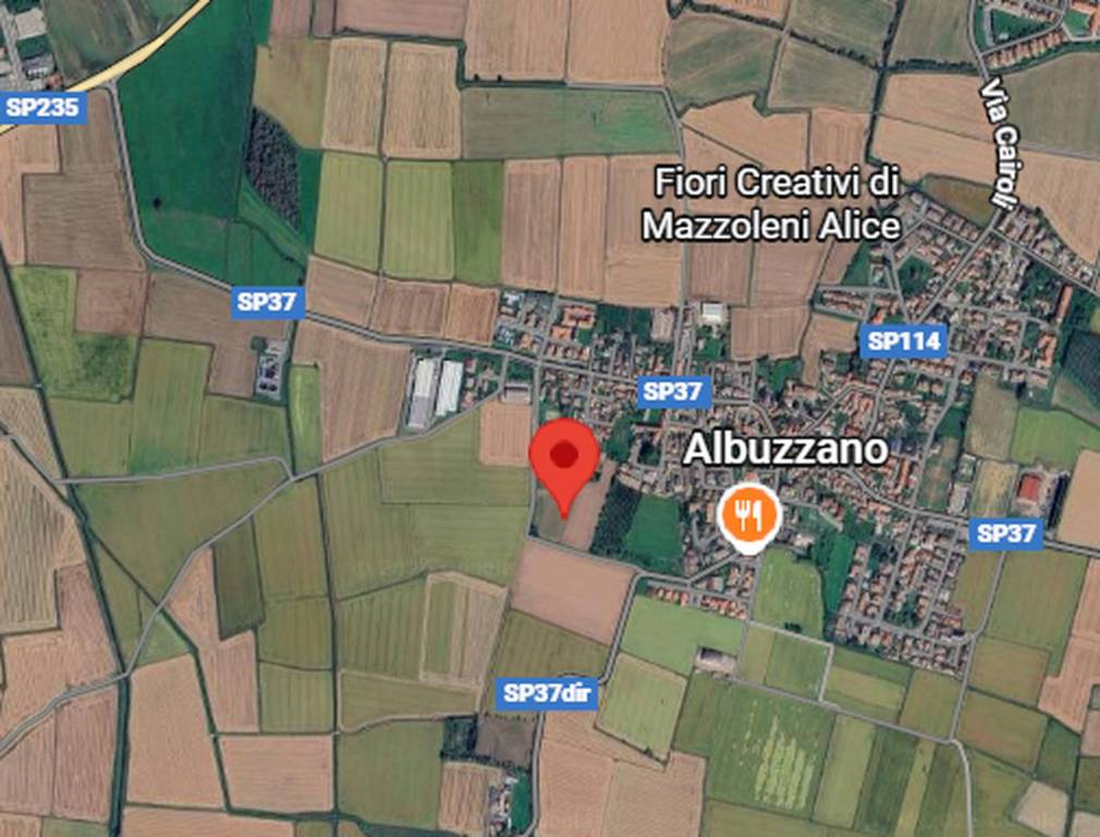 immagine annuncio 5 di 13