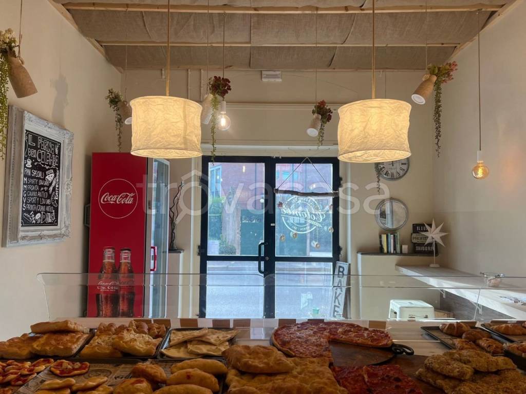 immagine annuncio 1 di 14