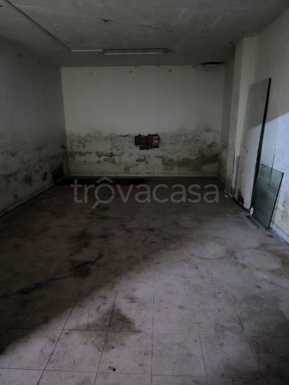 immagine annuncio 5 di 8