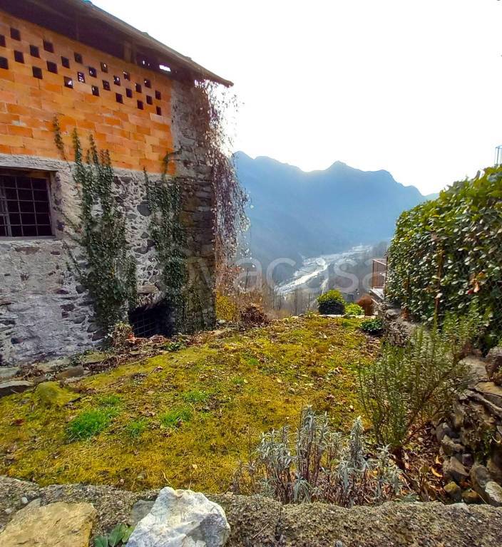 immagine annuncio 1 di 12