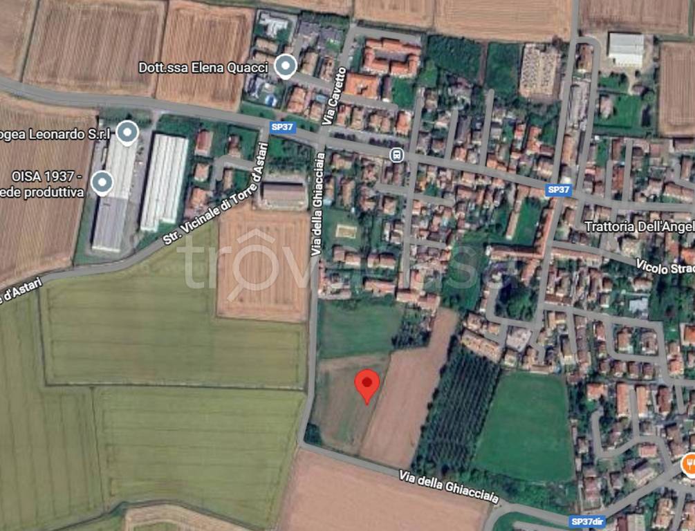 immagine annuncio 8 di 13