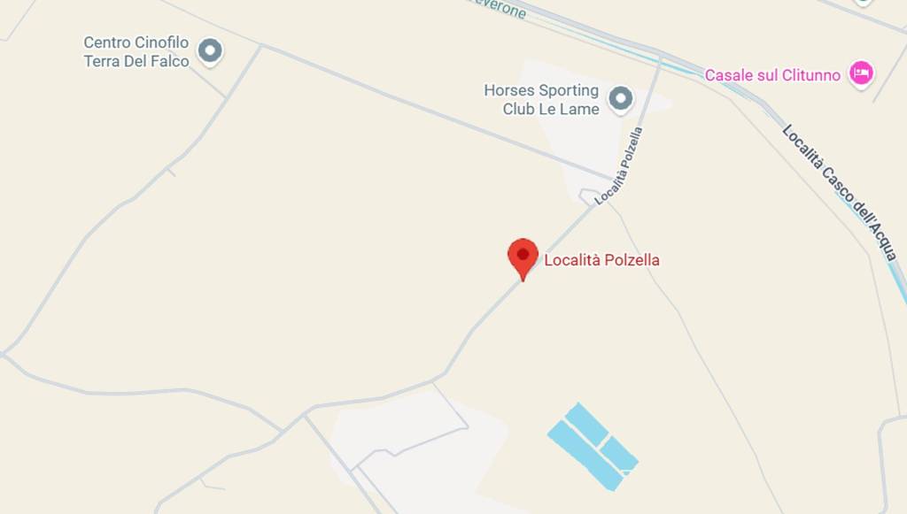 immagine annuncio 2 di 12