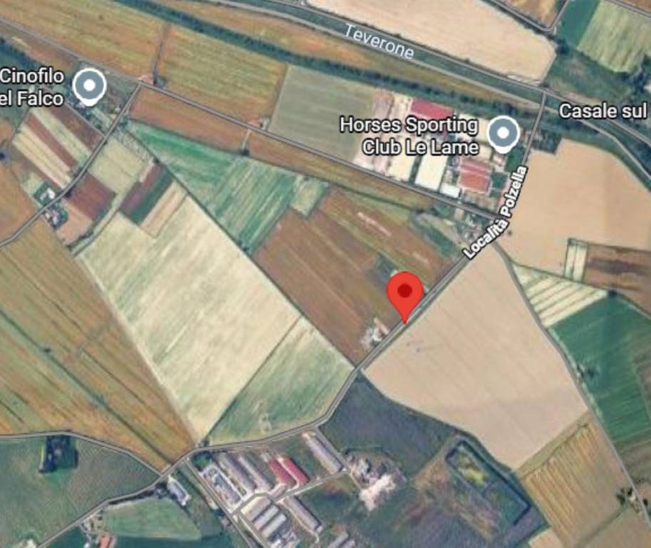 immagine annuncio 4 di 11