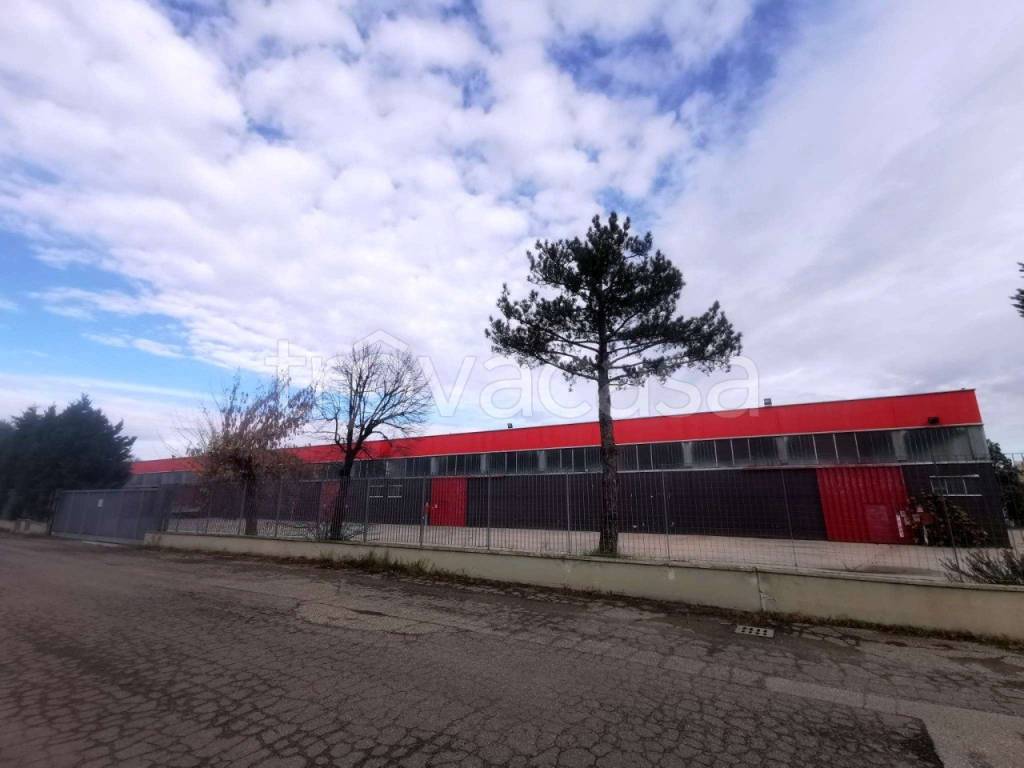 immagine annuncio 1 di 10