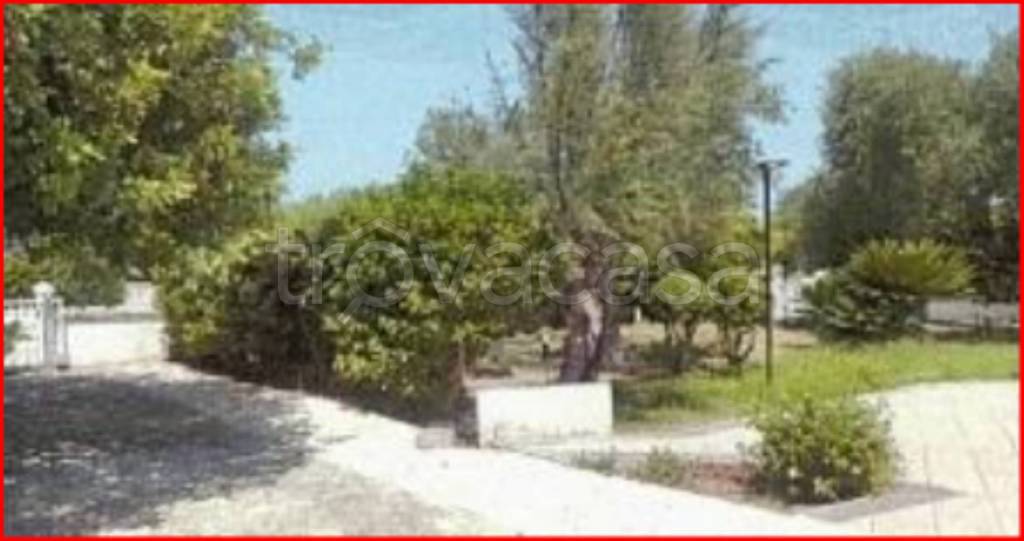 immagine annuncio 9 di 13