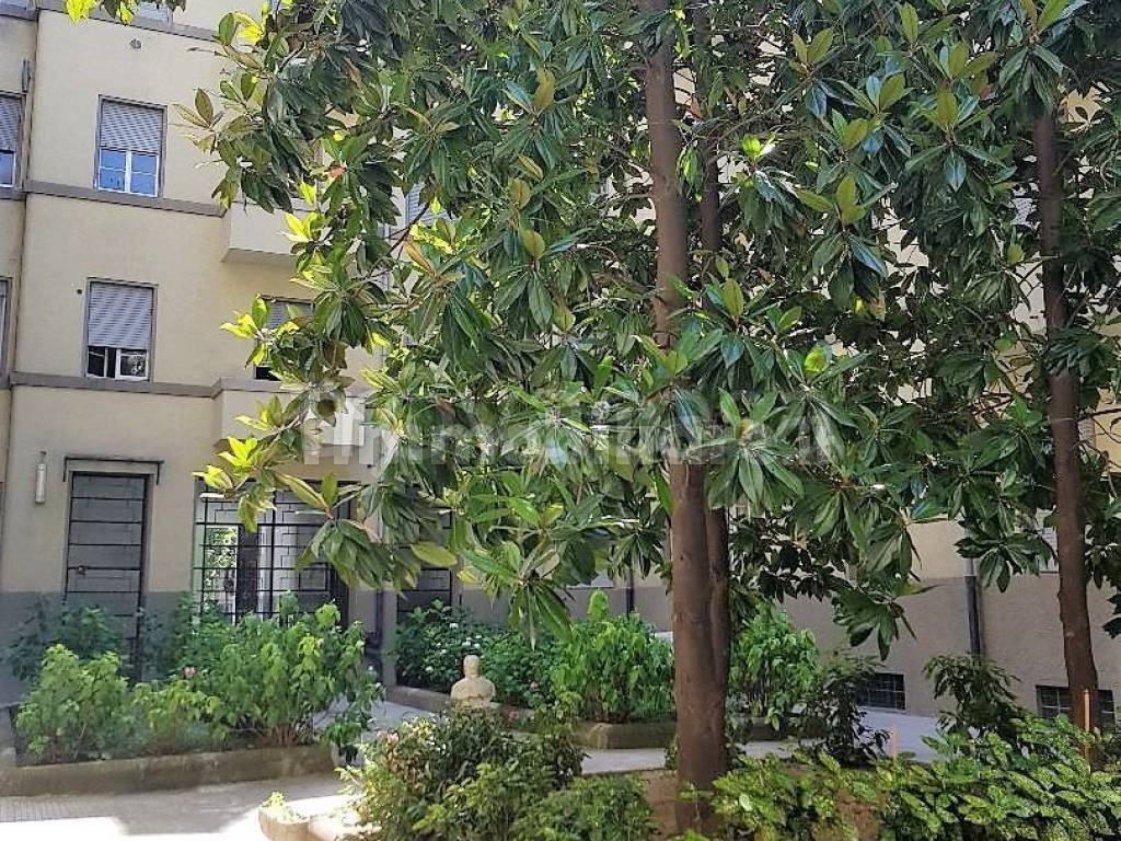 immagine annuncio 11 di 14