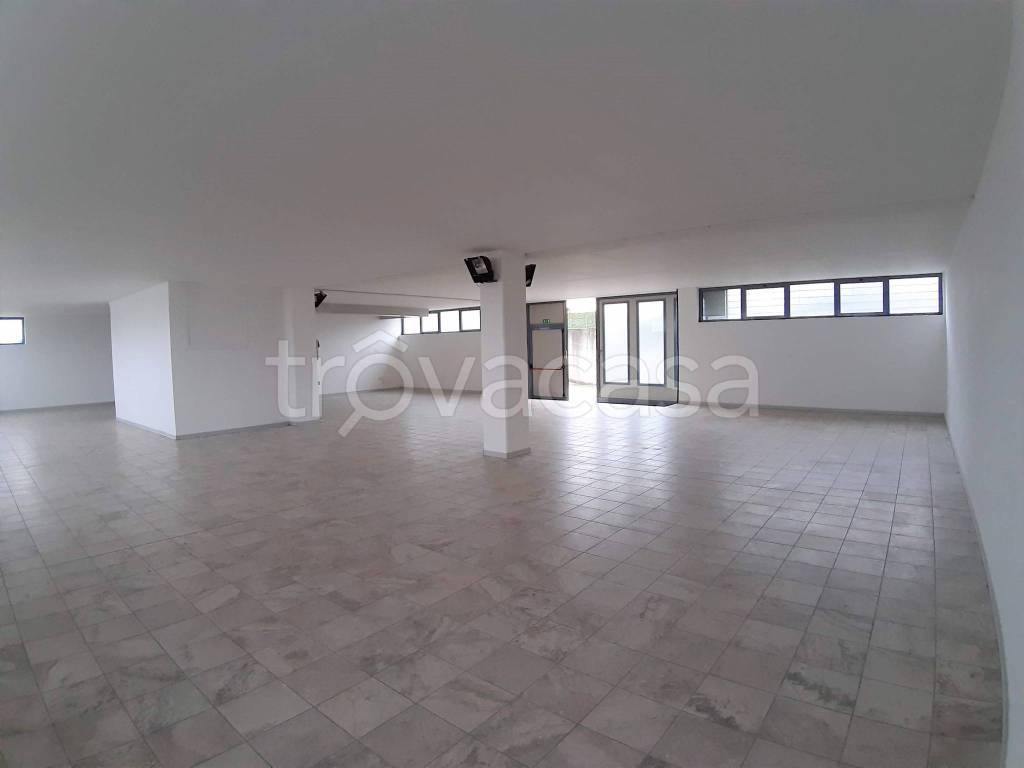 immagine annuncio 5 di 9