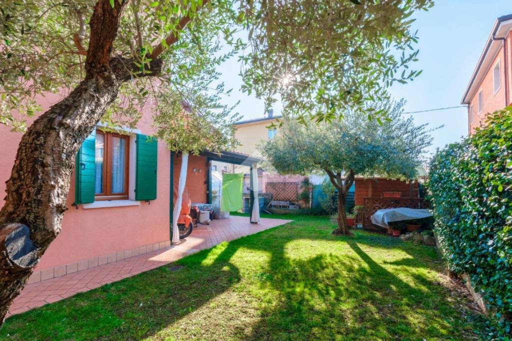 immagine annuncio 3 di 15