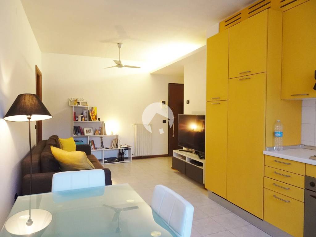 immagine annuncio 5 di 13