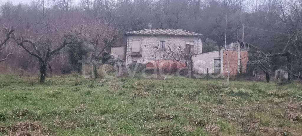 immagine annuncio 2 di 6