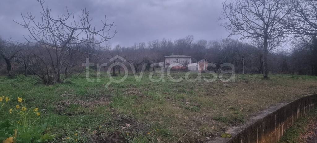 immagine annuncio 3 di 6