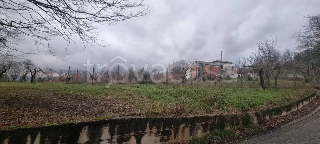 immagine annuncio 4 di 6