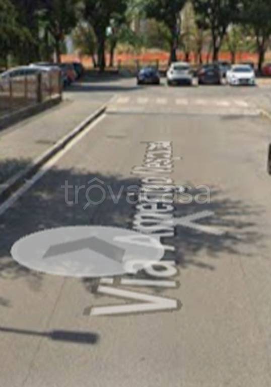 immagine annuncio 7 di 11