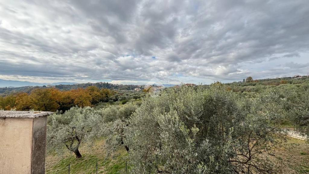 immagine annuncio 5 di 6