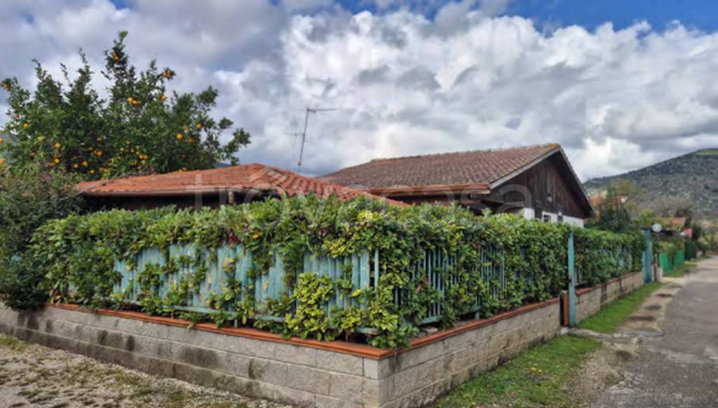 immagine annuncio 6 di 11