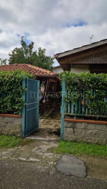 immagine annuncio 7 di 11