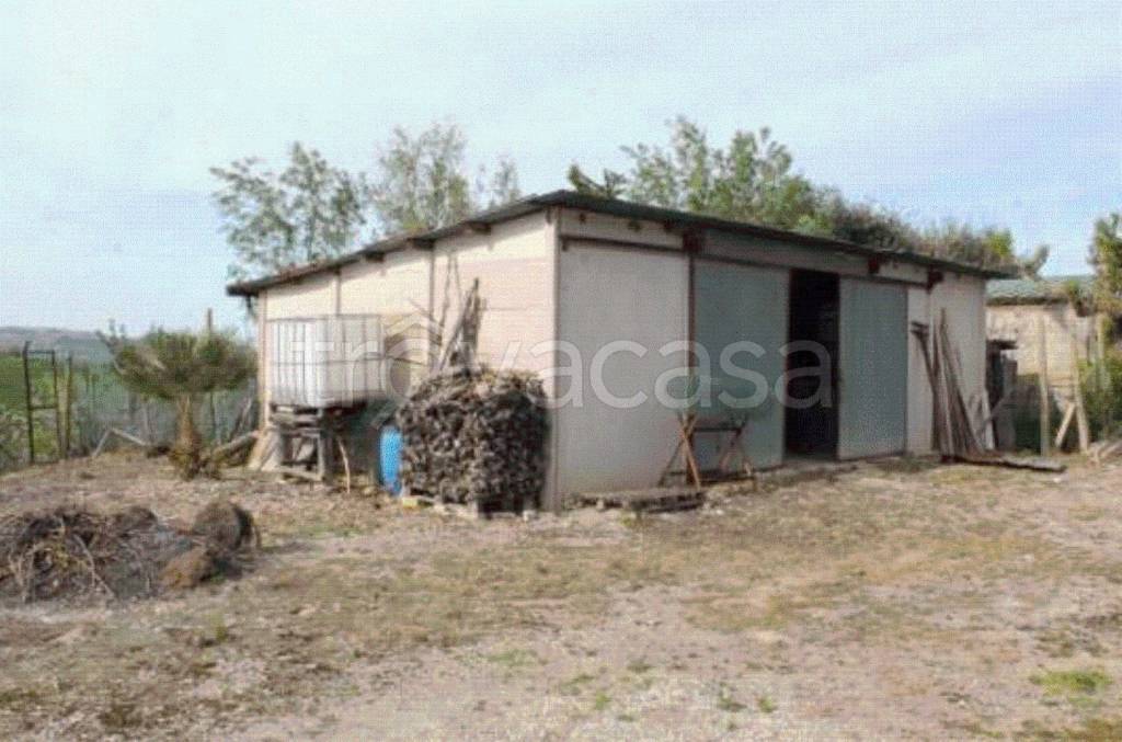 immagine annuncio 8 di 12