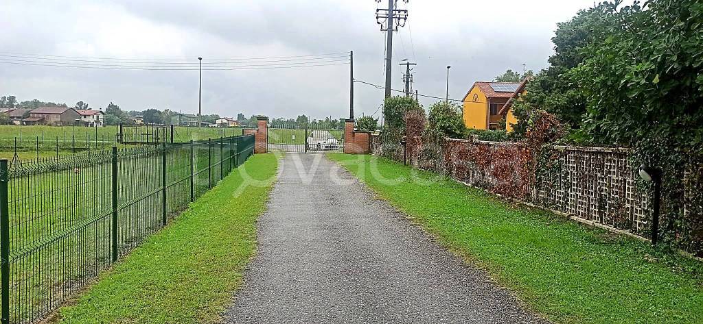 immagine annuncio 3 di 8