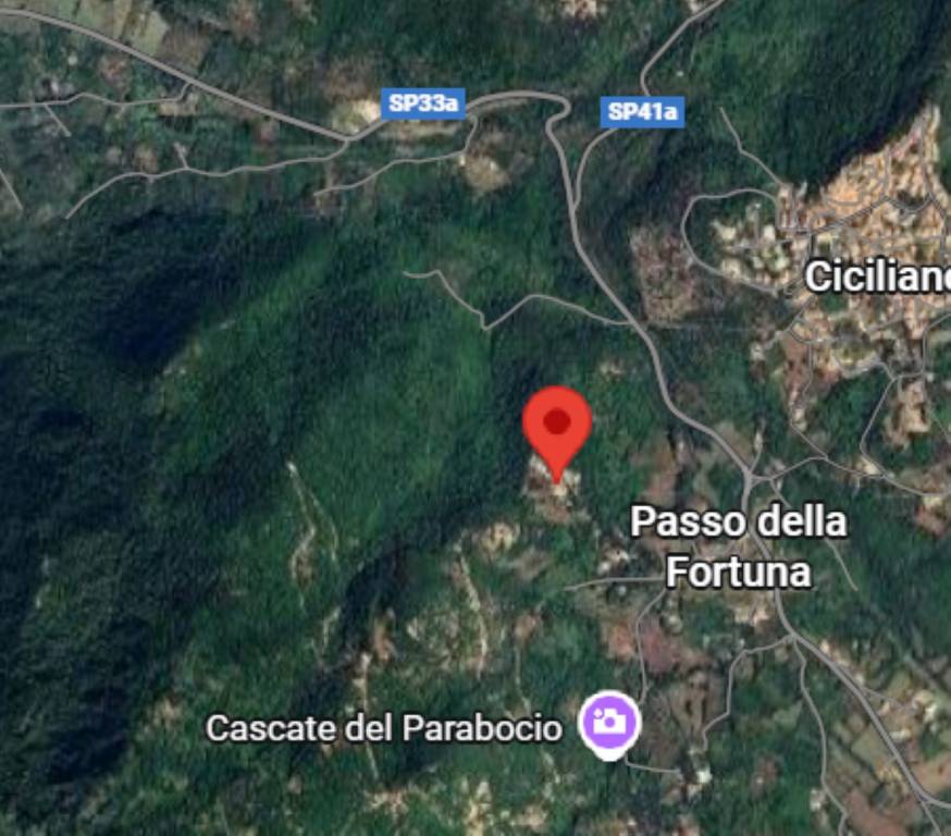 immagine annuncio 7 di 11