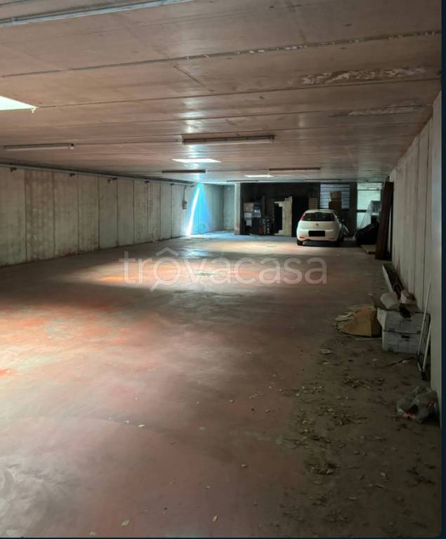 immagine annuncio 1 di 12