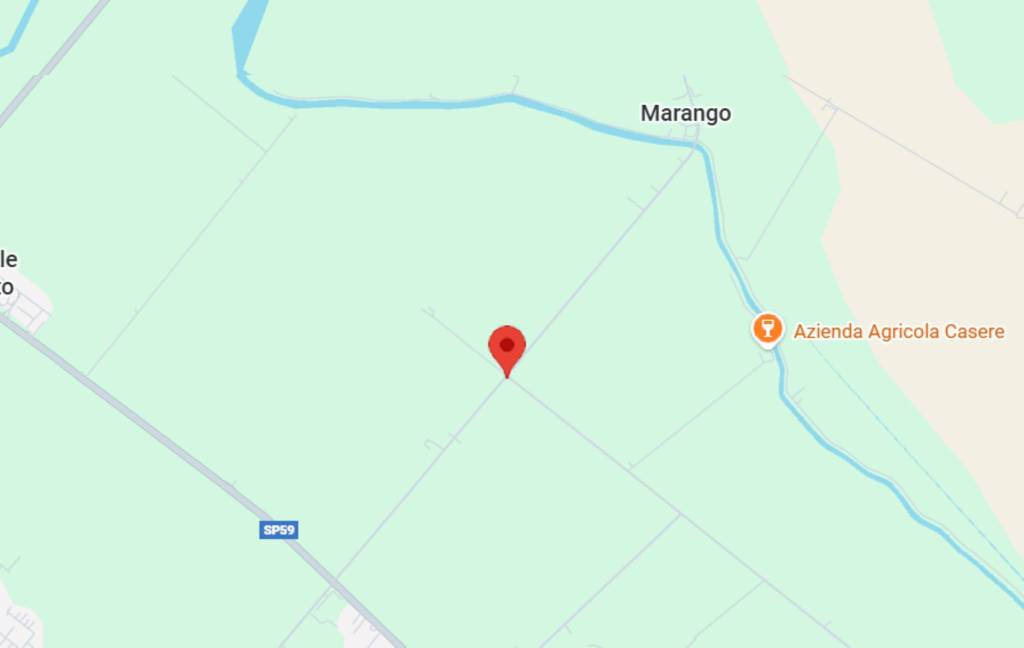 immagine annuncio 5 di 11