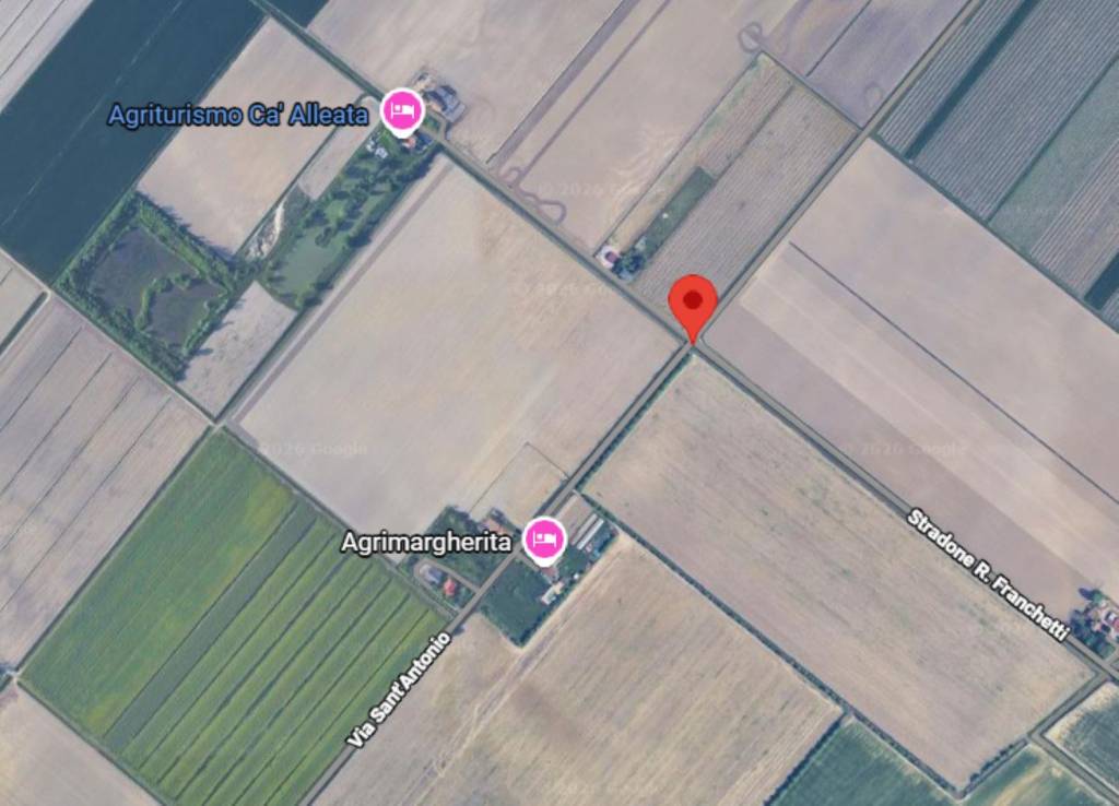 immagine annuncio 3 di 11