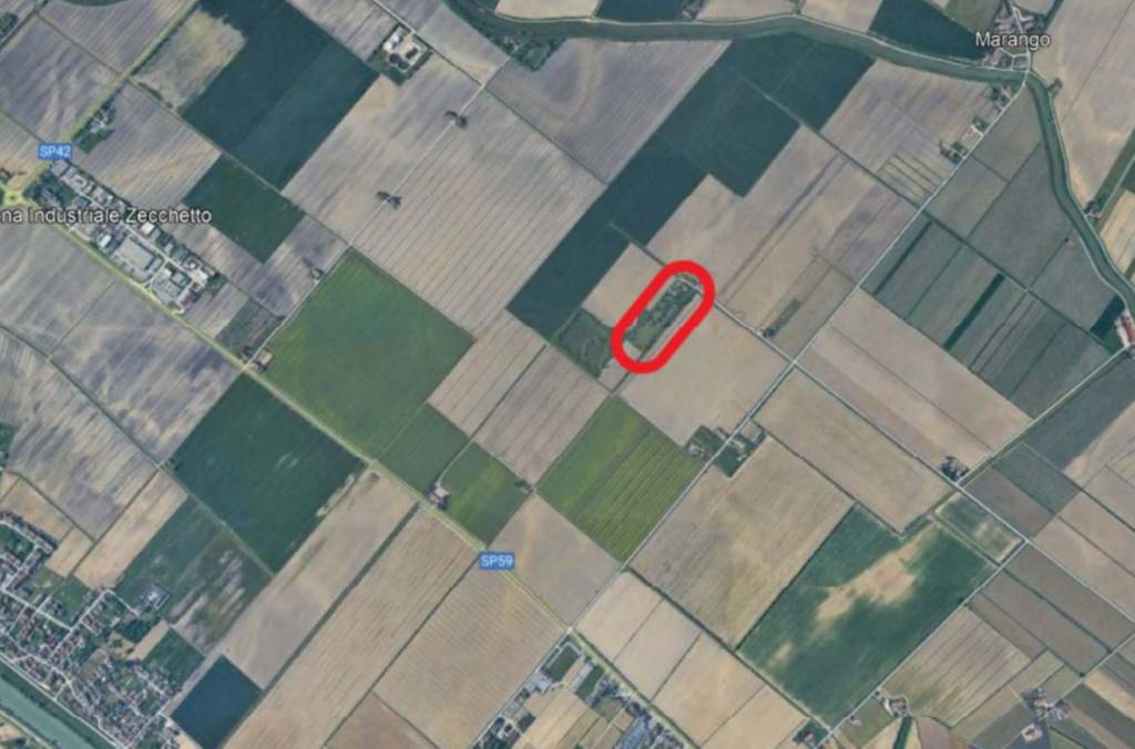 immagine annuncio 1 di 11