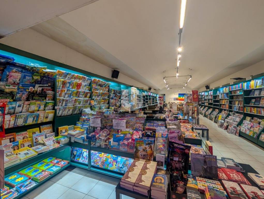 immagine annuncio 1 di 12